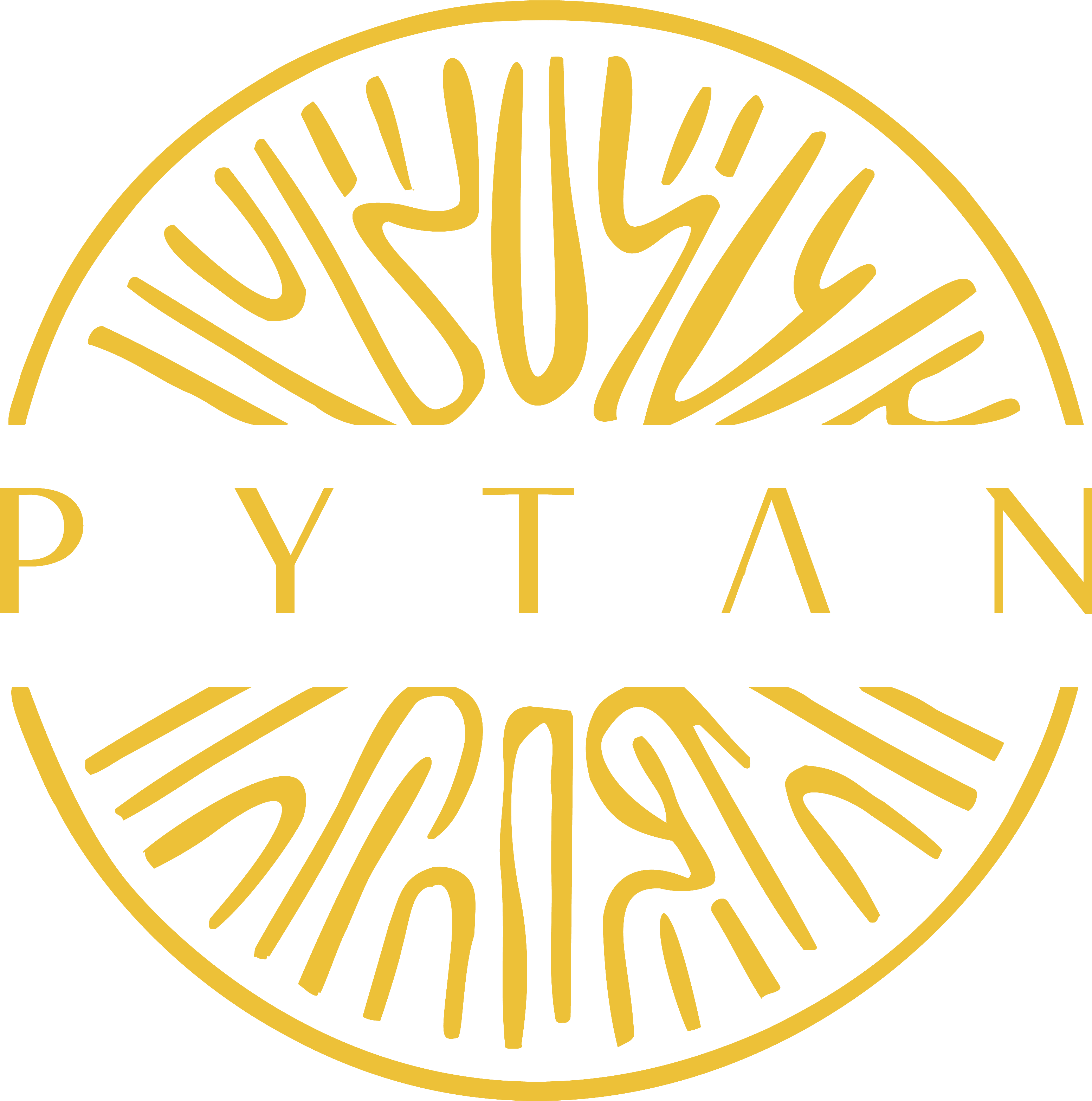 Pytaan brand logo